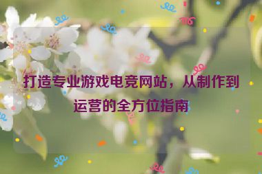 打造专业游戏电竞网站，从制作到运营的全方位指南