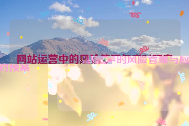 网站运营中的风险管理与应对预案