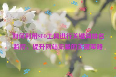 如何利用SEO工具进行关键词排名监控，提升网站流量的关键策略