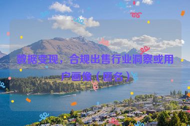 数据变现，合规出售行业洞察或用户画像（匿名）
