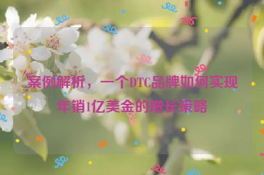 案例解析，一个DTC品牌如何实现年销1亿美金的增长策略