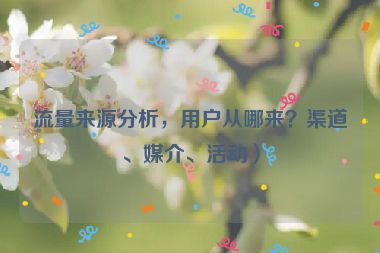 流量来源分析，用户从哪来？渠道、媒介、活动）