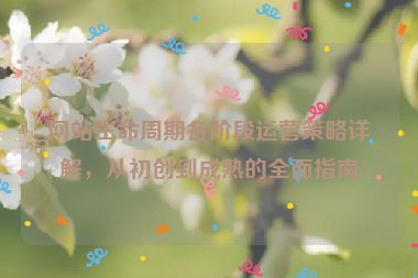 网站生命周期各阶段运营策略详解，从初创到成熟的全面指南