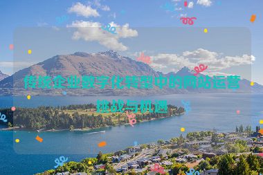 传统企业数字化转型中的网站运营挑战与机遇