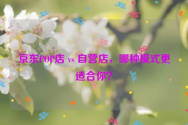 京东POP店 vs 自营店，哪种模式更适合你？