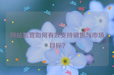 网站运营如何有效支持销售与市场目标？