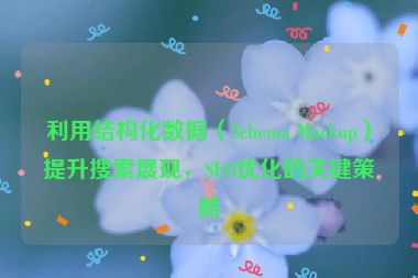 利用结构化数据（Schema Markup）提升搜索展现，SEO优化的关键策略