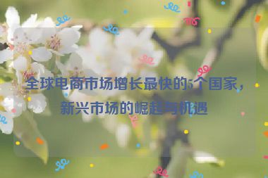 全球电商市场增长最快的5个国家，新兴市场的崛起与机遇