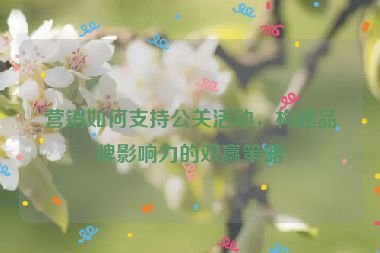 营销如何支持公关活动，构建品牌影响力的双赢策略