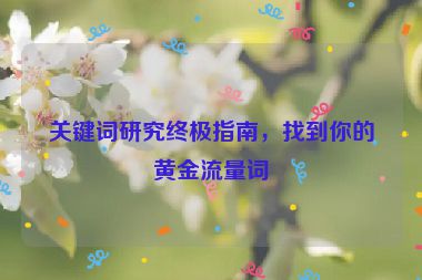 关键词研究终极指南，找到你的黄金流量词