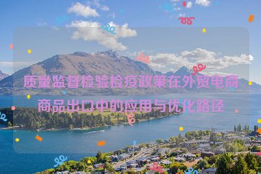 质量监督检验检疫政策在外贸电商商品出口中的应用与优化路径