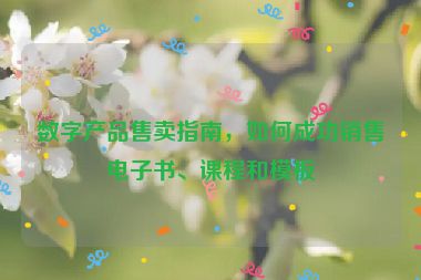 数字产品售卖指南，如何成功销售电子书、课程和模板