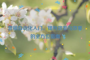 营销自动化入门，提升效率与效果的全方位指南