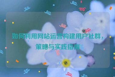 如何利用网站运营构建用户社群，策略与实践指南