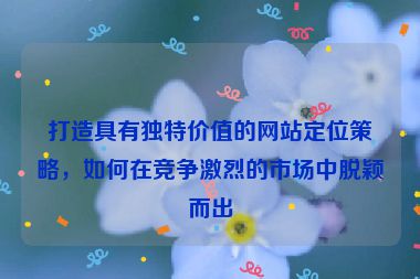 打造具有独特价值的网站定位策略，如何在竞争激烈的市场中脱颖而出