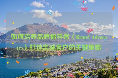 如何培养品牌倡导者（Brand Advocates）打造忠诚客户的关键策略
