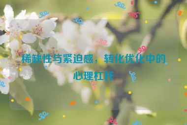 稀缺性与紧迫感，转化优化中的心理杠杆