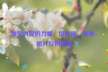 视觉内容的力量，信息图、视频、图片应用指南