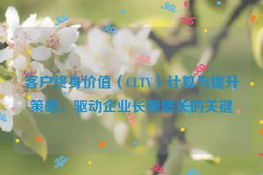 客户终身价值（CLTV）计算与提升策略，驱动企业长期增长的关键
