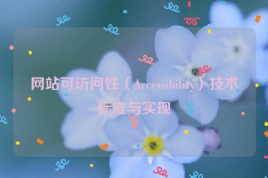 网站可访问性（Accessibility）技术标准与实现