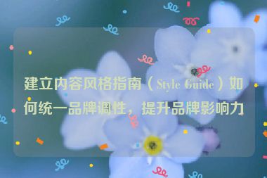 建立内容风格指南（Style Guide）如何统一品牌调性，提升品牌影响力