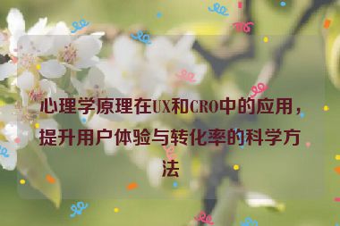 心理学原理在UX和CRO中的应用，提升用户体验与转化率的科学方法