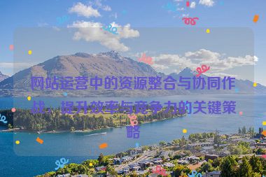 网站运营中的资源整合与协同作战，提升效率与竞争力的关键策略