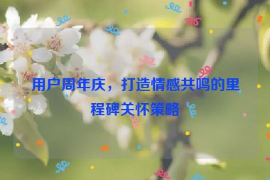 用户周年庆，打造情感共鸣的里程碑关怀策略