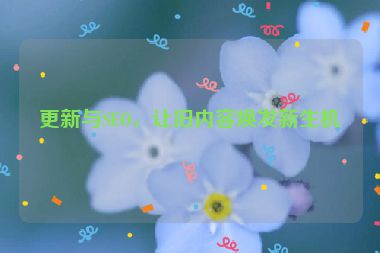 更新与SEO，让旧内容焕发新生机