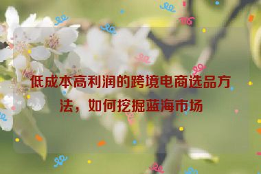 低成本高利润的跨境电商选品方法，如何挖掘蓝海市场