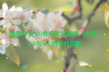 垂直行业SEO专项优化策略，电商、B2B与SaaS的实战指南