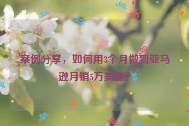案例分享，如何用3个月做到亚马逊月销5万美金？