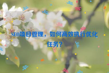SEO项目管理，如何高效执行优化任务？