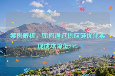 案例解析，如何通过供应链优化实现成本降低20%