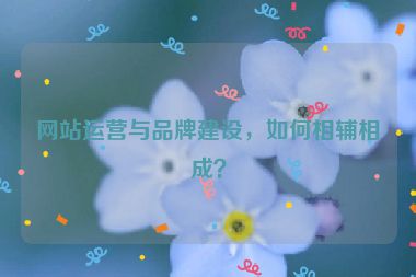 网站运营与品牌建设，如何相辅相成？