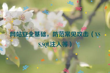 网站安全基础，防范常见攻击（XSS,SQL注入等）