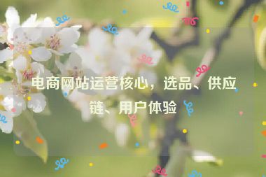 电商网站运营核心，选品、供应链、用户体验