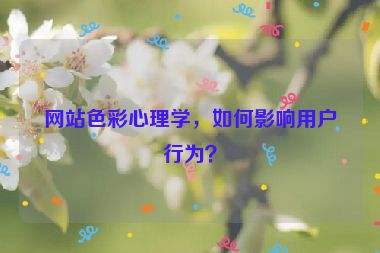 网站色彩心理学，如何影响用户行为？