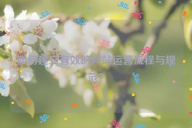如何建立有效的网站运营流程与规范？