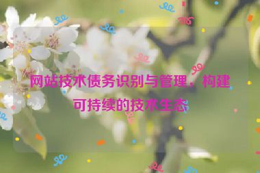 网站技术债务识别与管理，构建可持续的技术生态