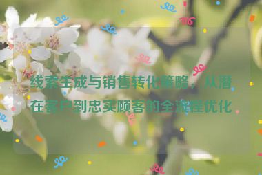 线索生成与销售转化策略，从潜在客户到忠实顾客的全流程优化