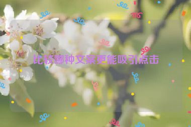 比较哪种文案更能吸引点击