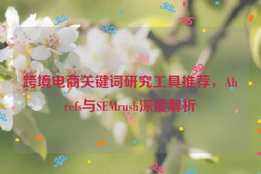 跨境电商关键词研究工具推荐，Ahrefs与SEMrush深度解析