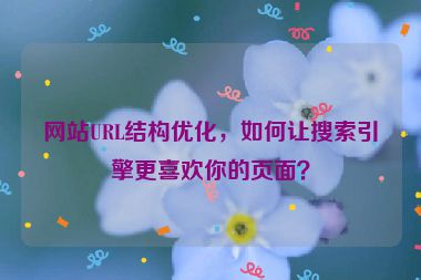 网站URL结构优化，如何让搜索引擎更喜欢你的页面？