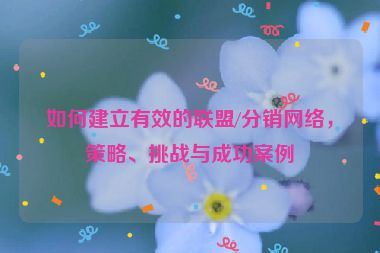 如何建立有效的联盟/分销网络，策略、挑战与成功案例