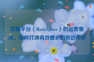 交易平台（Marketplace）的运营要点，如何打造高效增长的双边市场