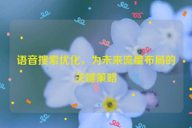 语音搜索优化，为未来流量布局的关键策略