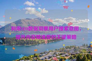 利用SEO数据洞察用户搜索意图，提升内容精准度的关键策略