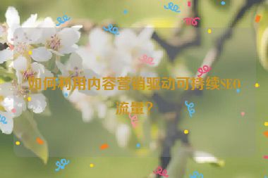 如何利用内容营销驱动可持续SEO流量？