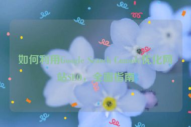 如何利用Google Search Console优化网站SEO，全面指南